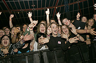 Reading Festival 2004